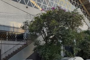 Templo Espiritualista Trinitario Mariano Del Medio Dia Distrito Federal Mexico